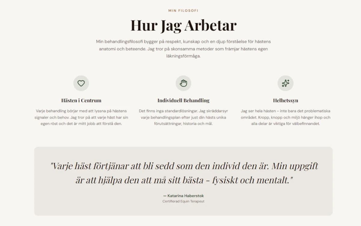 Equine Therapy Website - Alternative View