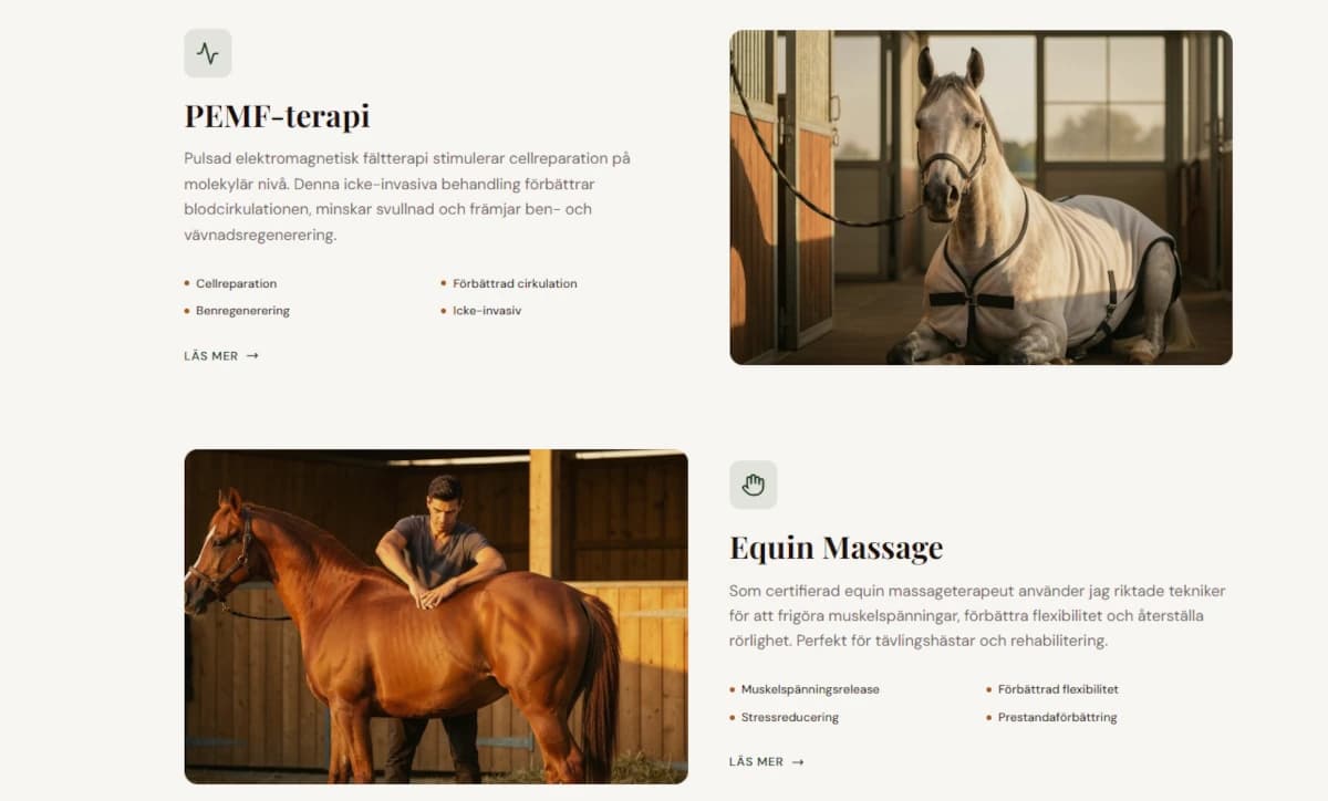 Equine Therapy Website - Alternative View