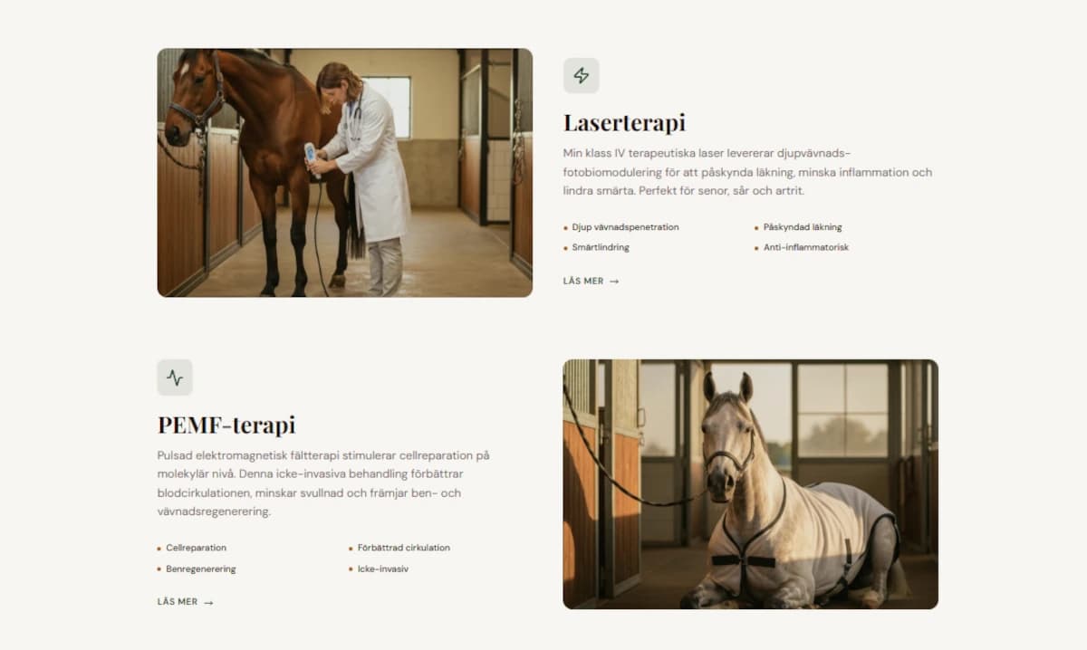 Equine Therapy Website - Alternative View