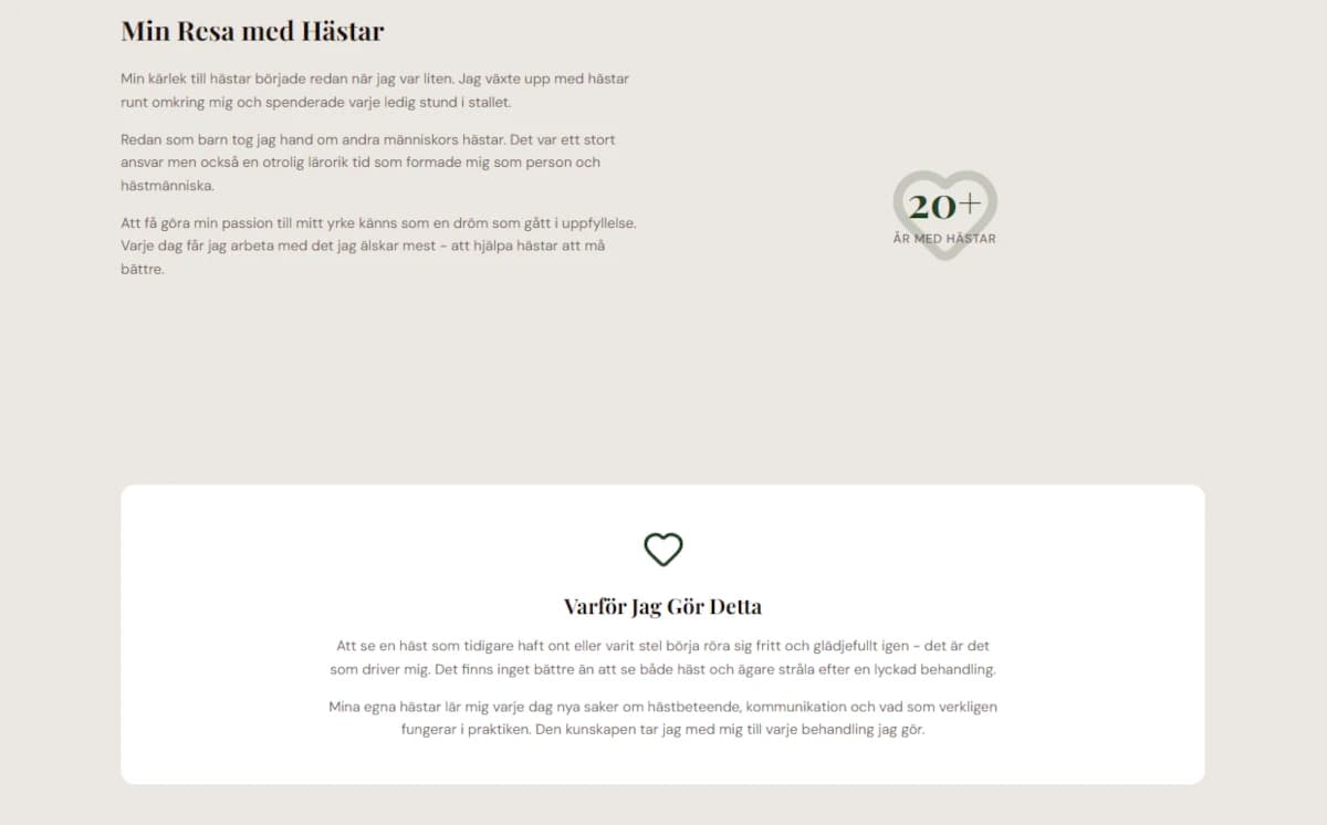 Equine Therapy Website - Alternative View