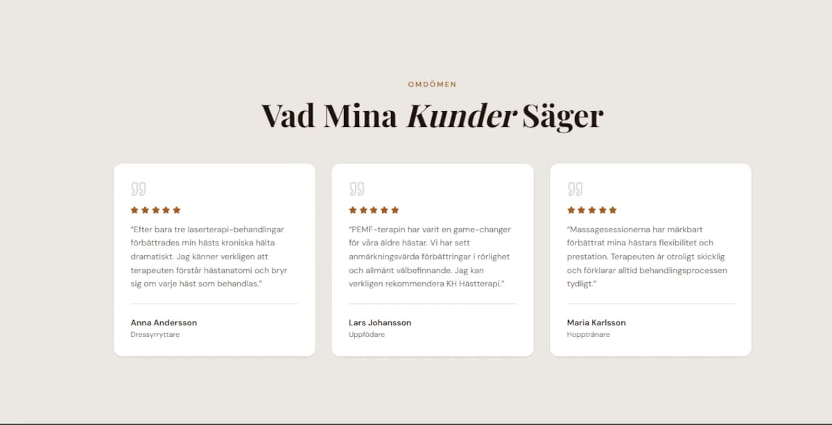 Equine Therapy Website - Alternative View